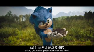 刺猬索尼克1A